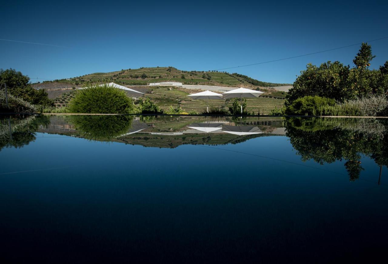 Quinta Do Vallado - Douro Wine Hotel Peso da Regua Ngoại thất bức ảnh