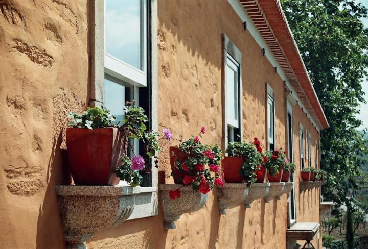 Quinta Do Vallado - Douro Wine Hotel Peso da Regua Ngoại thất bức ảnh