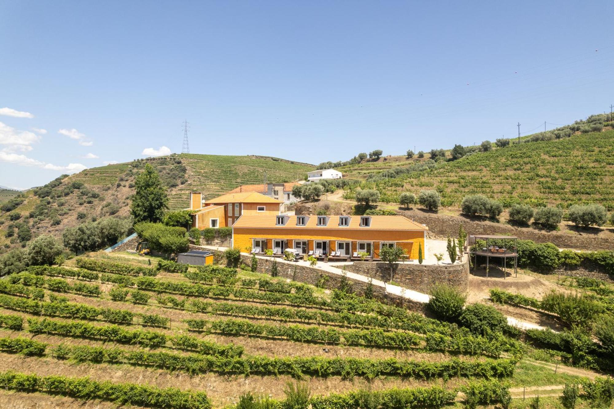 Quinta Do Vallado - Douro Wine Hotel Peso da Regua Ngoại thất bức ảnh