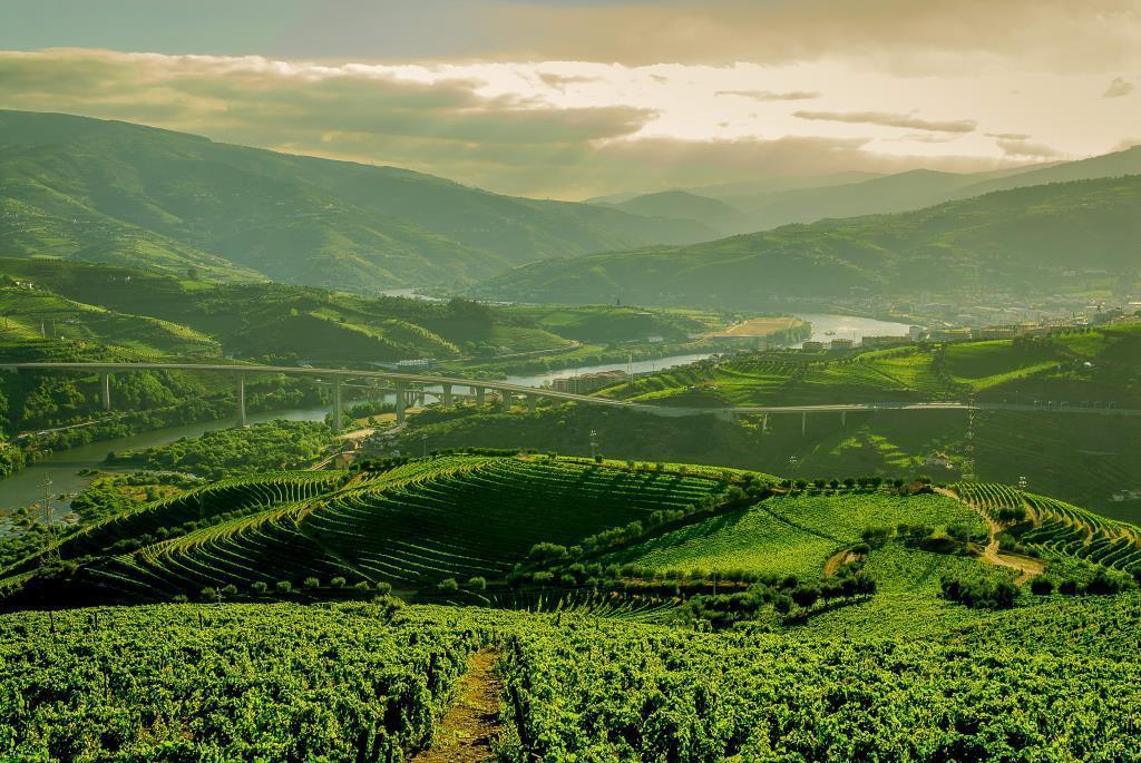 Quinta Do Vallado - Douro Wine Hotel Peso da Regua Ngoại thất bức ảnh