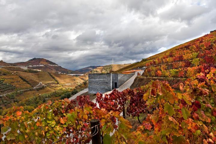 Quinta Do Vallado - Douro Wine Hotel Peso da Regua Ngoại thất bức ảnh