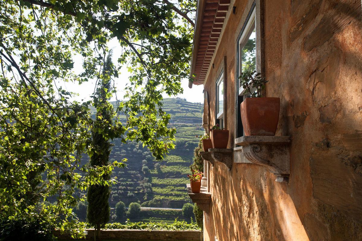 Quinta Do Vallado - Douro Wine Hotel Peso da Regua Ngoại thất bức ảnh